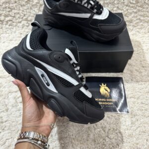 DIOR B22