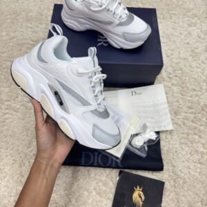 DIOR B22